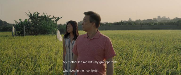 Before: Weird looking VLC subtitles under Gentoo Linux